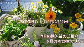 【ガーデニング】ペンタスで涼しげな寄せ植えづくり🌼＆７月の購入苗の紹介🌿【寄せ植え】 [upl. by Nihahs549]