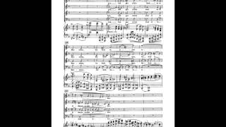 Brahms Deutsches Requiem 3rd movement Soprano [upl. by Jessee]