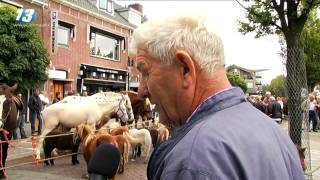 Paardenmarkt Elst [upl. by Normalie789]