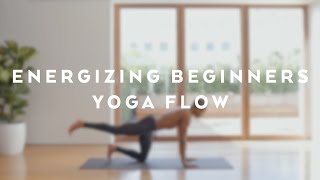 Energizing Beginners Yoga Flow with Andrew Sealy [upl. by Bathulda]