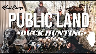 PUBLIC LAND Duck Hunting  ILLINOIS [upl. by Euqirat]