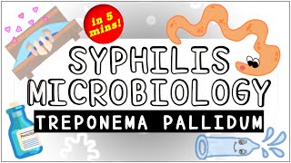 Syphilis Treponema pallidum Microbiology All you need to know [upl. by Anada]