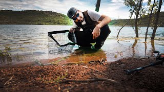 Comment pêcher le brochet ULTRA SIMPLEMENT [upl. by Kwapong]