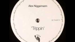 Alex Niggemann  Trippin [upl. by Spiegelman]