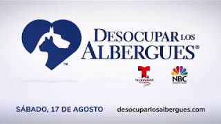 Desocupar los Albergues Talento 15 [upl. by Akirret]