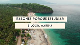 Razones Porque Estudiar Biología Marina te va a sorprender y te va explotar la cabeza disfrútalo [upl. by Camilla]