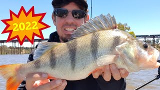 How to Catch BIG REDFIN with Bait  Redfin Fishing with FishingMad [upl. by Kenwee]