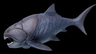 Dunkleosteus Showcase [upl. by Libbie]