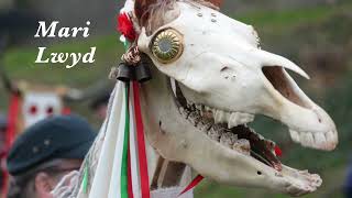 Mari Lwyd Song [upl. by Coveney]