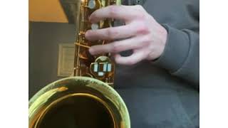 King Zephyr Tenor Saxophone  For Sale  Demo [upl. by Bolan]