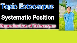 Systematic Position Of Ectocarpus  Habitat  Structure Reproduction of Ectocarpus [upl. by Enilehcim]