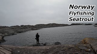 Sjøørret  Seatrout Flyfishing in Norway [upl. by Asiuol491]