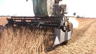 gleaner f2 cutting beans [upl. by Onia]