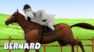 Bernard Bear  Horse Riding AND MORE  Cartoons for Children  Full Episodes [upl. by Santini470]