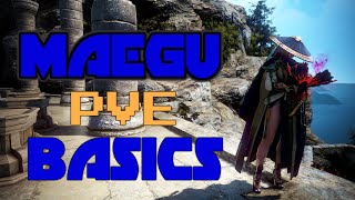 MAEGU PVE GUIDE  Breaking Down the Basics [upl. by Stahl]