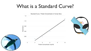 What is a Standard Curve [upl. by Delilah]