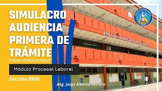 Simulacro Audiencia Primera de Trámite Proceso Ordinario Laboral  Módulo Procesal Laboral 0900 [upl. by Tobe]