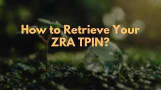 How to Retrieve Your ZRA TPIN [upl. by Kcirre]