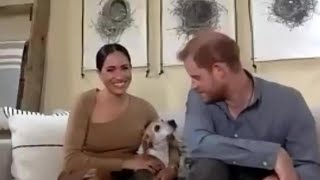 Harry and Meghan talk about structural racism in Britain [upl. by Niran]