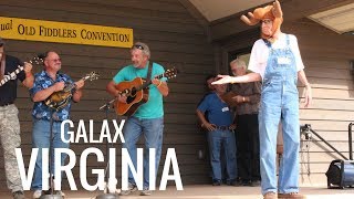 Galax Virginia Along The Crooked Road EP5  Clogging at The Fiddlers Convention [upl. by Hoffman]