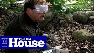 How to Clear Poison Ivy  This Old House [upl. by Elleahcim]