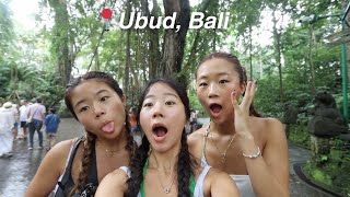 A DAY IN BALI a monkey attacked my sister [upl. by Yrekaz644]