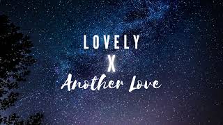 Lovely x Another Love Remix [upl. by Aikemal481]