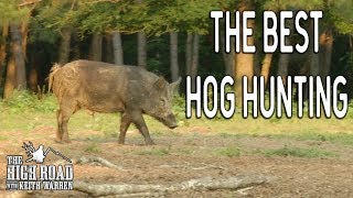 Best Wild Boar Hunting in Texas [upl. by Anatole]