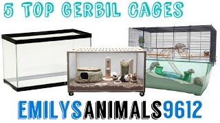 My 5 Top Cages for Gerbils [upl. by Coopersmith]