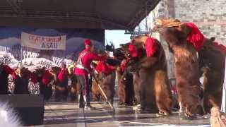 The 40 Bears Dance  Romanian Traditions part I [upl. by Thecla]