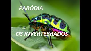 parodia invertebrados  proftanio [upl. by Malamud]