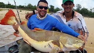 PIRARARA GIGANTE E A BRIGA COM O BOTO NO RIO ARAGUAIAPESCARIA [upl. by Cazzie853]