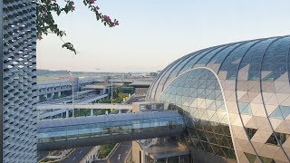 Crowne Plaza Changi Airport Jewel View Room [upl. by Eibloc]