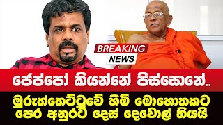 Breaking News  Sinhala News Muruththettuwe Thero speech about JVP anura kumara [upl. by Irra]