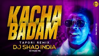 Kacha Badam Remix  DJ Shad India  Badam song  Badam Official Dj Song  Badan Remix  DJ Mohit Mk [upl. by Oralee604]