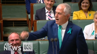 Malcolm Turnbull calls Bill Shorten sycophant [upl. by Suillenroc192]