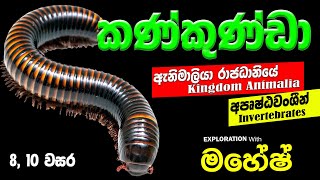 කන්කුන්ඩා  Kankunda [upl. by Atwood]