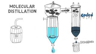 Refining Fish Oil [upl. by Heyman190]