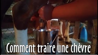 🐐 Comment TRAIRE une CHÈVRE et autre TRUCS  120 [upl. by Allesor]