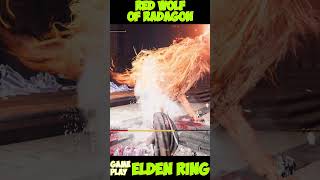 Red Wolf of Radagon eldenring dlc eldenringshadowoftheerdtree [upl. by Norek]