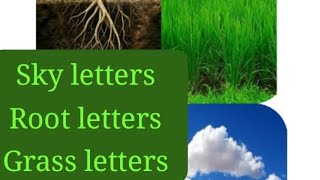 sky letters root letters grass letters  all you need to know 🤗📖📚😎😎💞 [upl. by Shem]