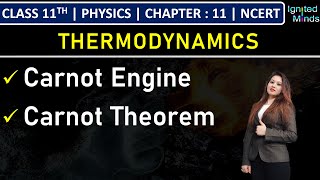 Class 11th Physics  Carnot Engine  Carnot Theorem  Chapter 11 Thermodynamics  NCERT [upl. by Ck699]