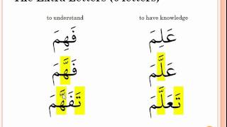 Arabic Verb Derivatives [upl. by Ahsoyek]