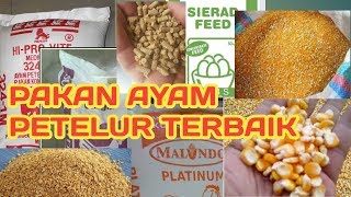 8 Pakan Ayam Petelur Terbaik ProdusiLaying [upl. by Anohr]