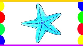 How to draw a starfish easy step by step [upl. by Madda]