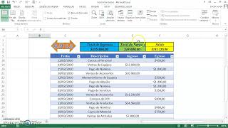 Excel  Plantilla Dinámica para el Control de Ingresos y Egresos de Dinero de tú Negocio [upl. by Chin]