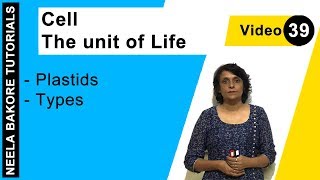 Cell  The Unit of Life  NEET  Plastids  Types  Neela Bakore Tutorials [upl. by Christa]