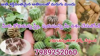 marugu mandu 100work vashikaranam 7989252060 [upl. by Elegna996]