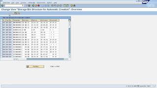 SAP WM  Storage Bins [upl. by Ashti]