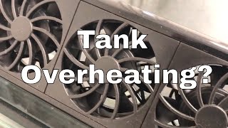 TOP 7 Tips to Keep Your Tank Cool [upl. by Olly29]